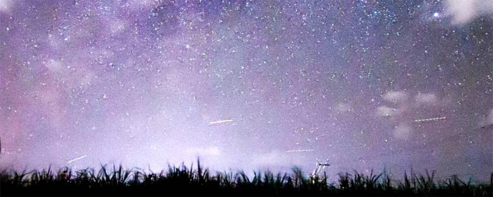 インデックスイメージ