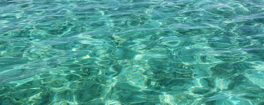 インデックスイメージ